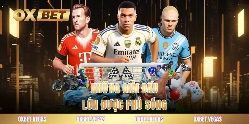 Những giải đấu lớn được phủ sóng